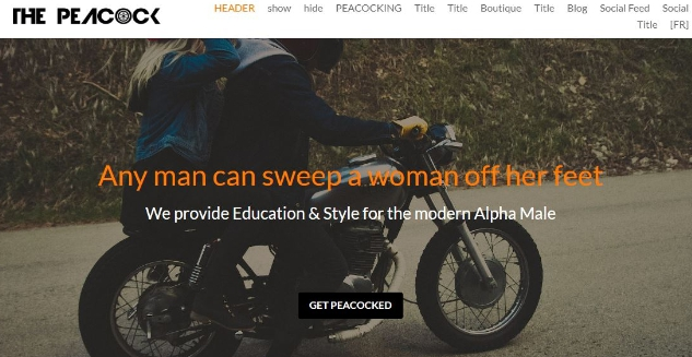 為網站添加引人注目的 logo 設計 為網站添加引人注目的 logo 設計